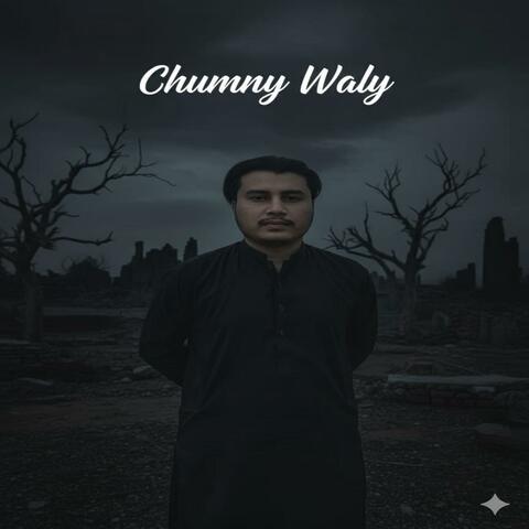 Dast-e-Taazeer Chomny Waly album art
