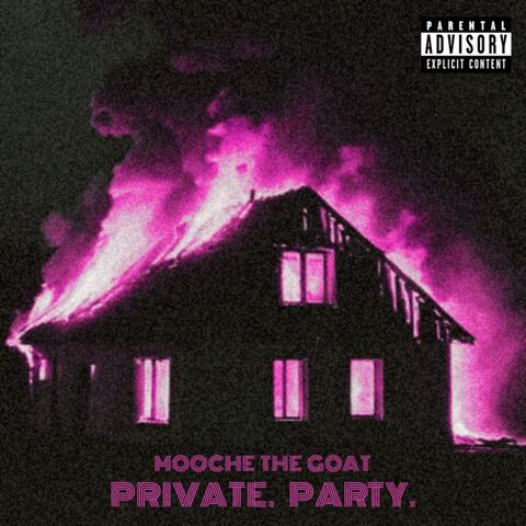 Private. Party. album art