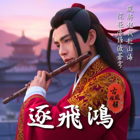 逐飛鴻 Pursuing the Soaring Swan album art