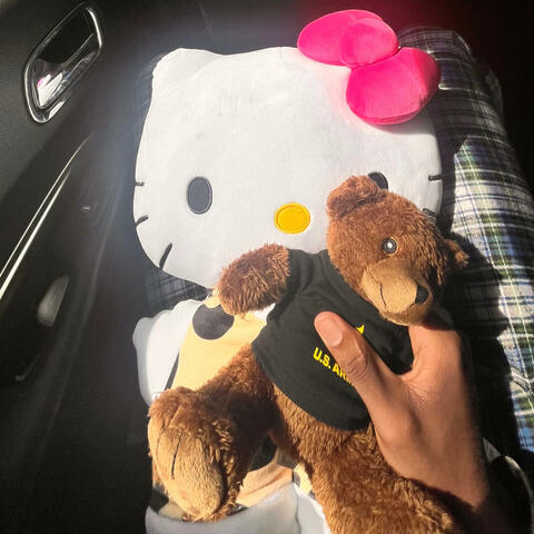 Unsent Project album art