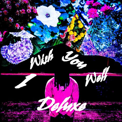 I Wish You Well (Deluxe) album art
