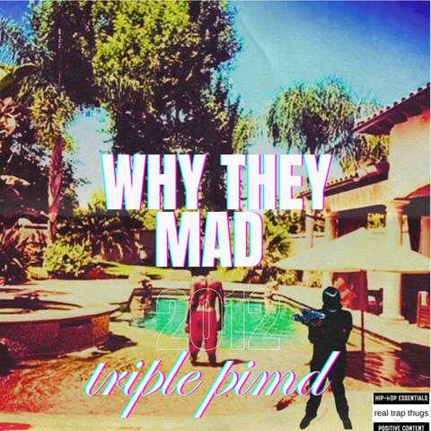Why they mad (feat. Prodrickyp) album art