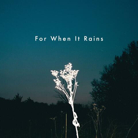 For When It Rains album art