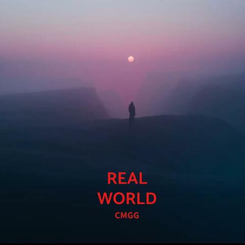 Real World album art