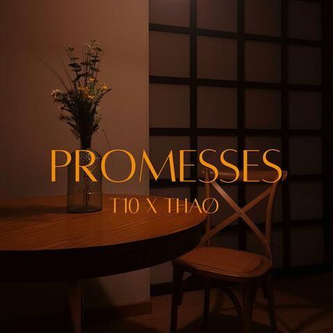 Promesses (feat. THAØ) album art