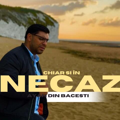 Ayan din Băcești (Chiar și in necaz) album art
