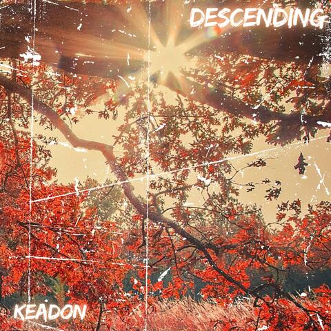 DESCENDING album art