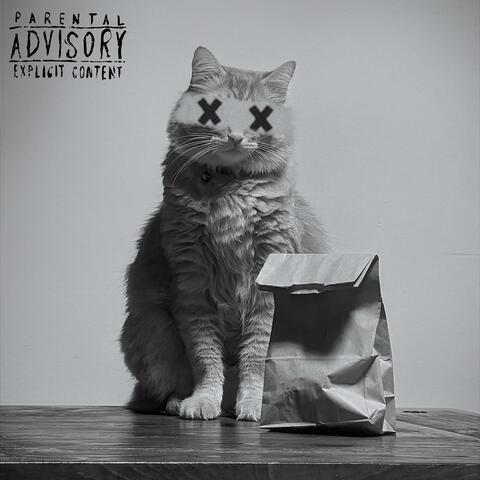 The View From the Abyss album art