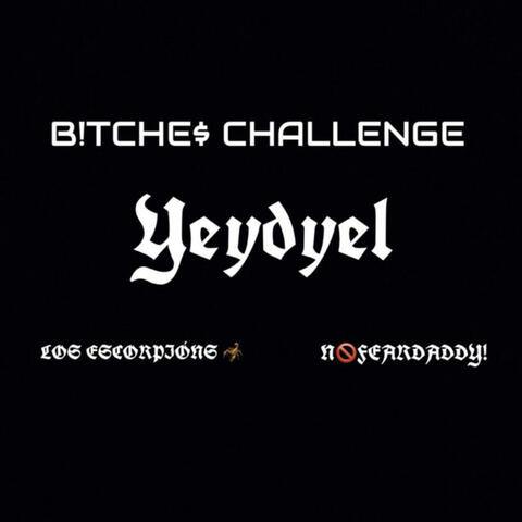 BITCHES CHALLENGE album art