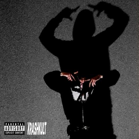 b4životjesan album art