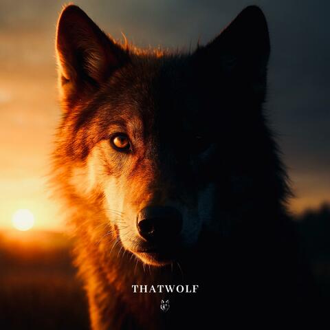 Sunshine (It Ain't Right) album art