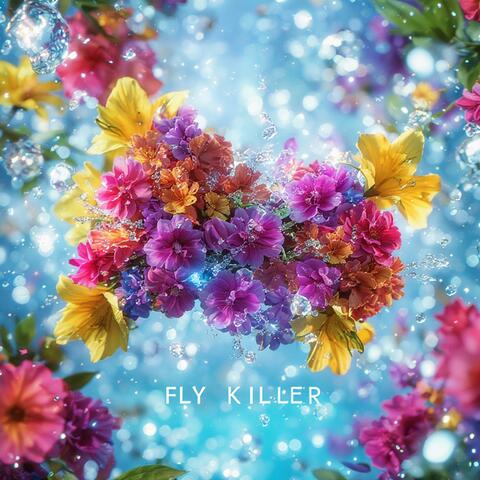 Fly Killer album art