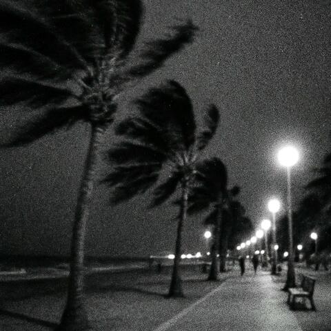 Night Wash album art