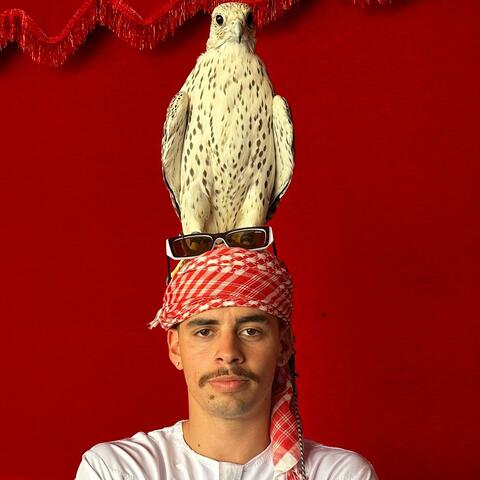 Bitches Love Jay (feat. KARMA) album art