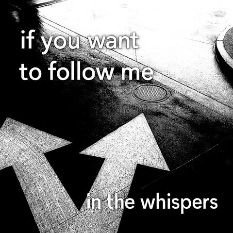 if you want to follow me album art
