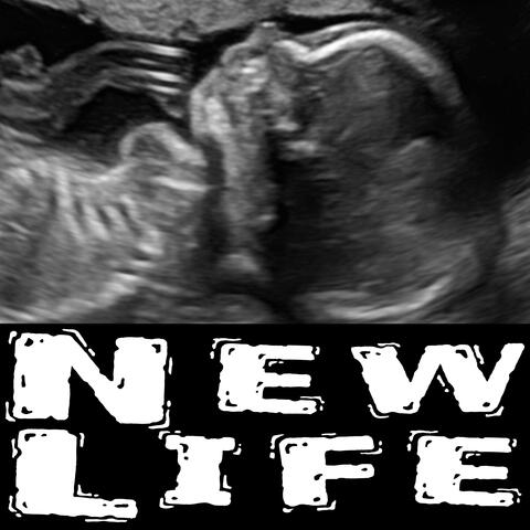 New Life album art