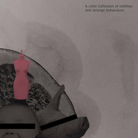 A Little Collection of Oddities and Strange Behaviours album art