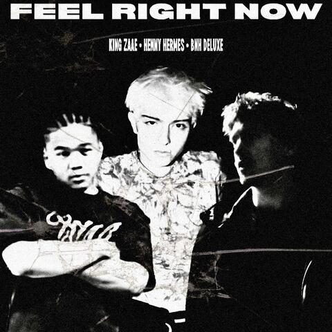 Feel Right Now (King Zaae Remix) album art