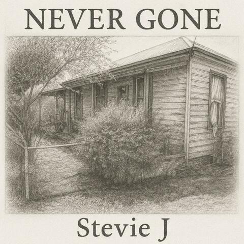 Never Gone album art
