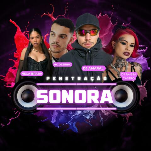 Penetração Sonora (feat. Raissa Castro, Nega Braba & Dj Amaral, Solta A Putaria Porra!) album art