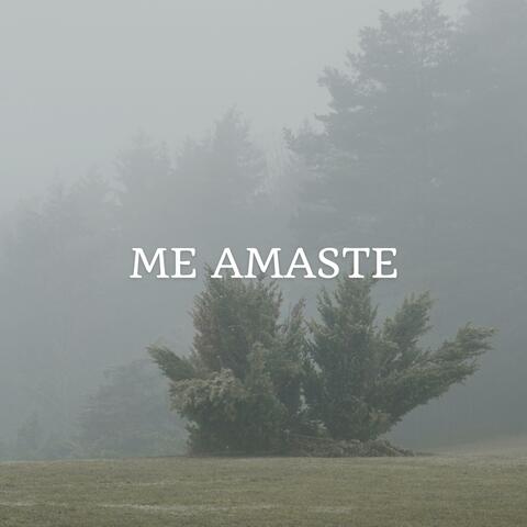 Me amaste quando não te amei album art