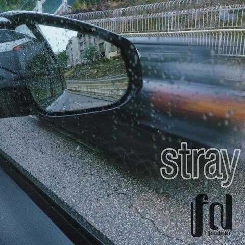 Stray album art