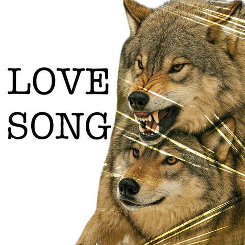 LOVE SONG album art