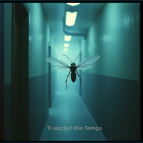 Ti Lascio il Mio Tempo album art