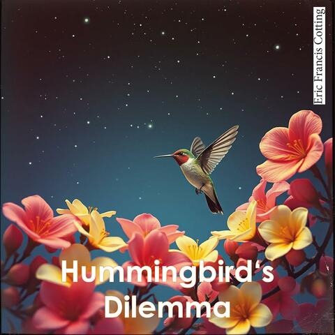 Hummingbird's Dilemma album art