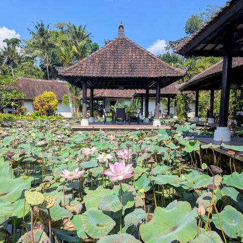 Taman Di Blayu Love album art