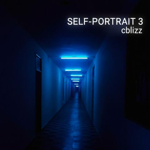 Self portrait 3 (instrumentals) album art
