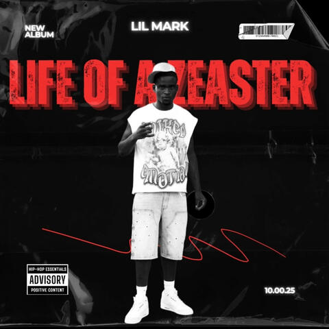 Theme song album art