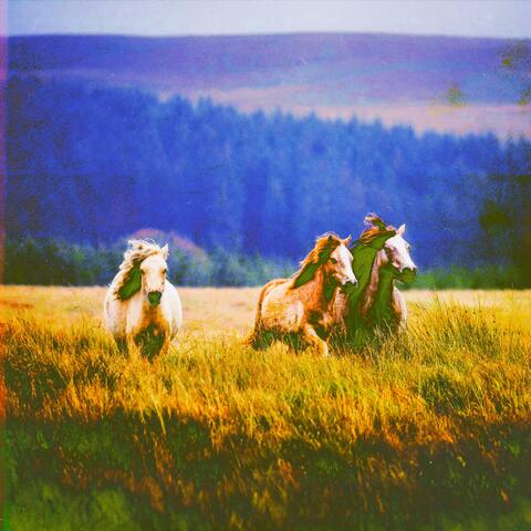 HIDING (DEMO) album art