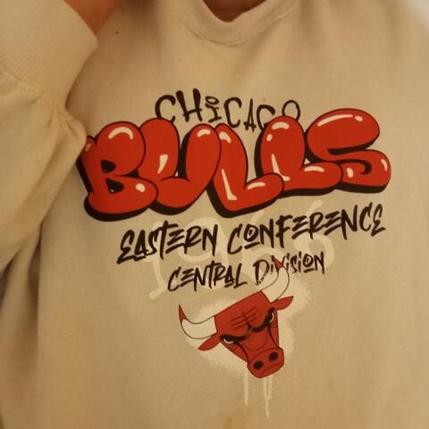 CHICAGO BULLS album art