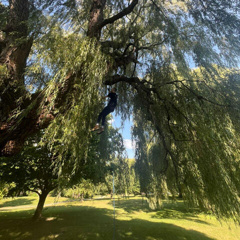 *LOSING UUU* album art