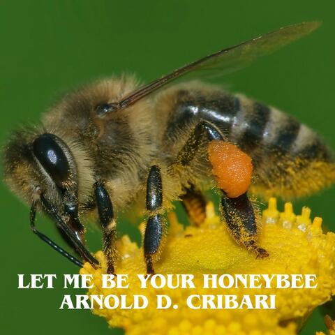 Let Me Be Your Honeybee album art