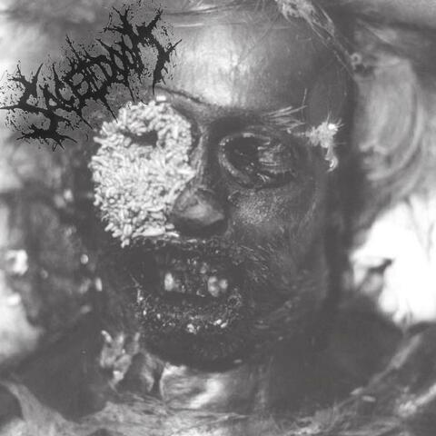 LIKE MAGGOTS ON A CORPSE album art