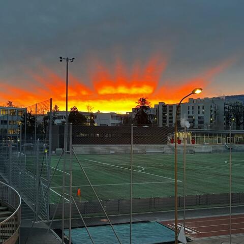 WISHES COME TRUE album art