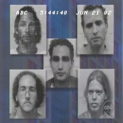 Dancing Moggers album art