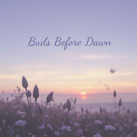 Buds Before Dawn album art