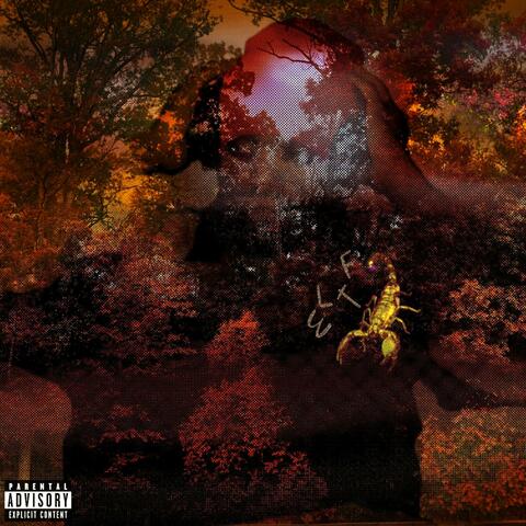 Everyone Loves The Fall album art