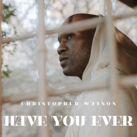 Have You Ever album art