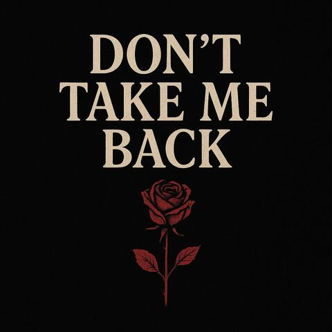 Don't Take Me Back album art