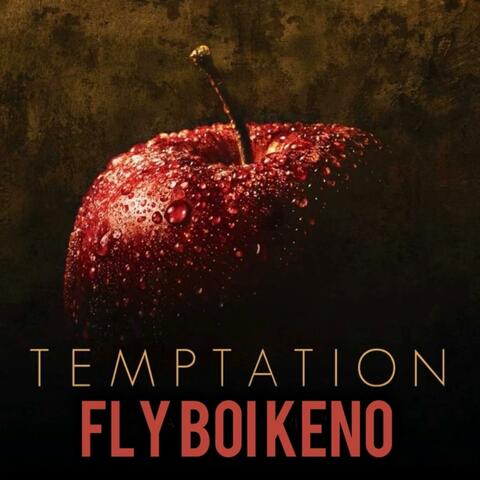 Temptation album art
