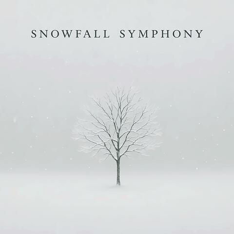 Snowfall Symphony album art