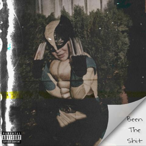 Been The Shit album art