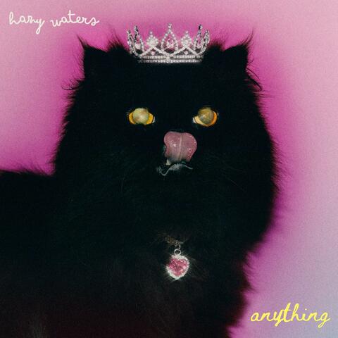 anything album art