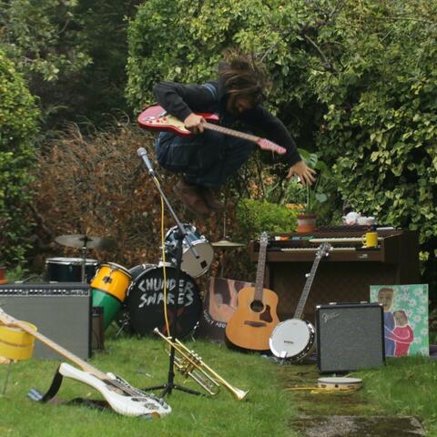 The Disappearance of Harold Hoult album art