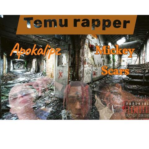 Temu rapper's (feat. Mikey Scars) album art
