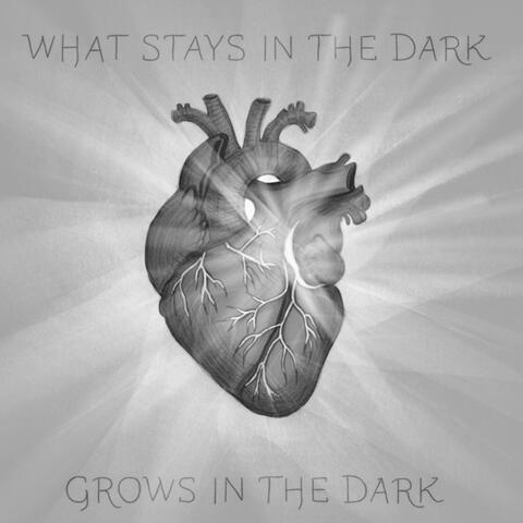 What Stays In The Dark, Grows In The Dark album art